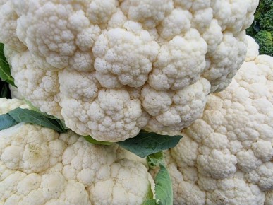 ����� �� ������ ���������� ��������, ������� ����� �������� ��� ���� �����