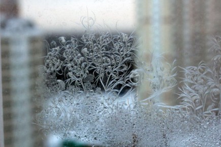 ����������� ��������� ����������� ����� �������� ���� ��-�� ������ � �������