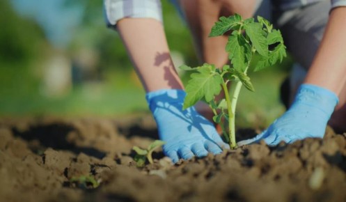 ��� ������� ��������� ������� ��� �������: ������� �� ������� �����������