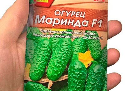 ������ �������: ������� ������������ � �������� �����