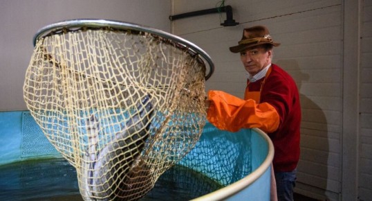 ���� �� ���� � ������: ��� ���������� ������ �� ��� �������