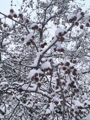 ������ ����, ������!. �������, 21 ������, �������� ���� ���������� ����� ��, ������������� ���� �������, ������������� ���� ��������� � ���������� �������� ��������