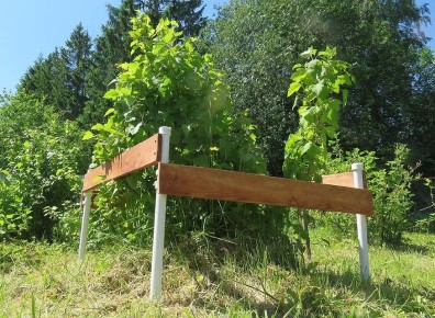 ���������� ���������� ��� ������: ������ �� ����������� ����