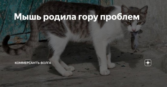 ���� ������ ���� �������. � ����������� ������� ��������� ��������������� � ��������������� ������������������ �������� �� �������������� ����������������� ���������� � �������� ��������� (����), ��������� � ������ ��������...