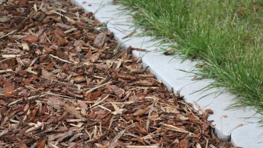 ������ � �������� �������� � ���������