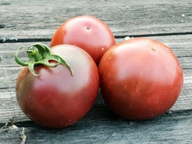 ����� �������� �������: ������� ���������� � �������� �������