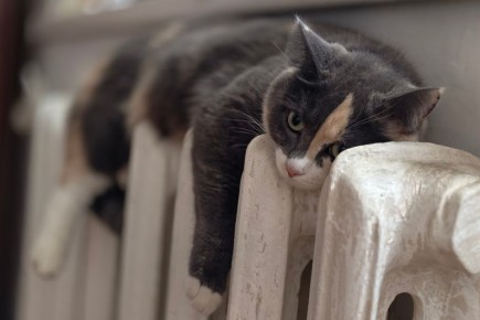 В Ульяновске из-за морозов поднимут температуру в теплосетях до 115 градусов