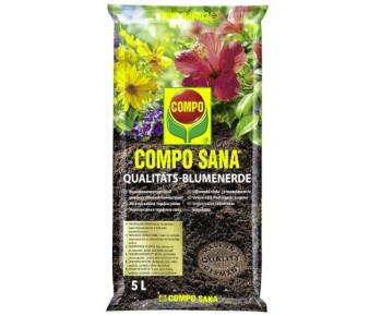 ��� ������� ��������� ����� ��� �������: ������ � ��� ������ ���������