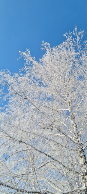 ������ ����, ������!. �������, 24 ������, ��������� ������������� ���� ������, ���� ���������������� ���������, ��������� ���� ����� �� ������ � ������������� ���� �����������