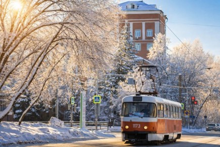 �������� ���������. ����: