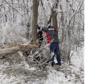 � ������ ����� �������� ������� ��������� �������