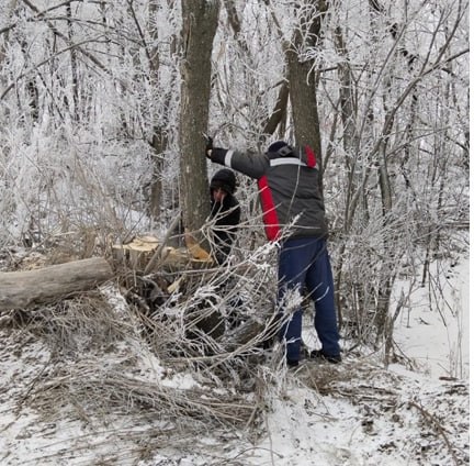 В районе улицы Свияжной убирают аварийные деревья