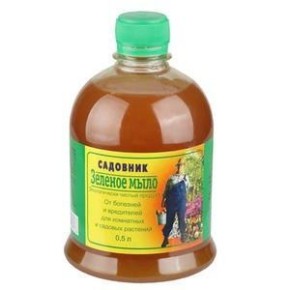 ��� ������� ��������� ��� ��������� ��������: ������������ �����������