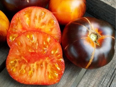 ����� ����� �����: ������ ������� ���������� � ����� �������