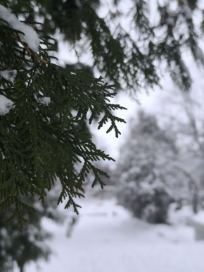 ������ ����, ������!. �������, 28 ������, ��������� ��������� ���� �����������, ���� ����������� ����������� ������, ������������� ���� ������ ������������ ������ � ���� �������� ���������� ���������