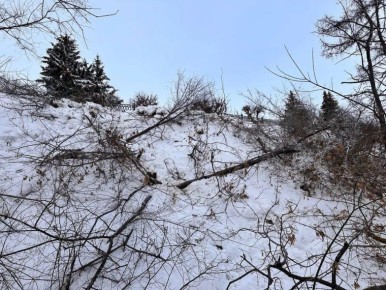 � ���������� ���������� ��������� ����� ����� ������� �������