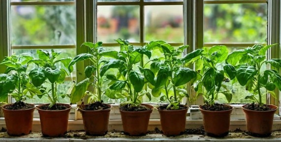 ��� ��������� ��������� ������� ���������� � ������