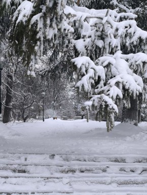 Доброе утро, друзья!. В эту субботу, 31 января, отмечаем День рисования солнца на снегу, День ювелира и Международный день очистки воды
