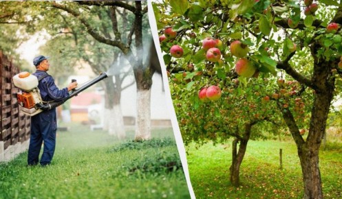 ���������� � ���: ������� �������� ��� ������ ������