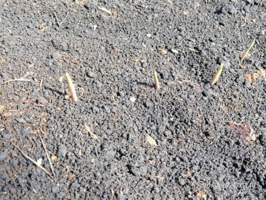 ������ �������� �� �������: ��� ������ �������� �� �������� ��������