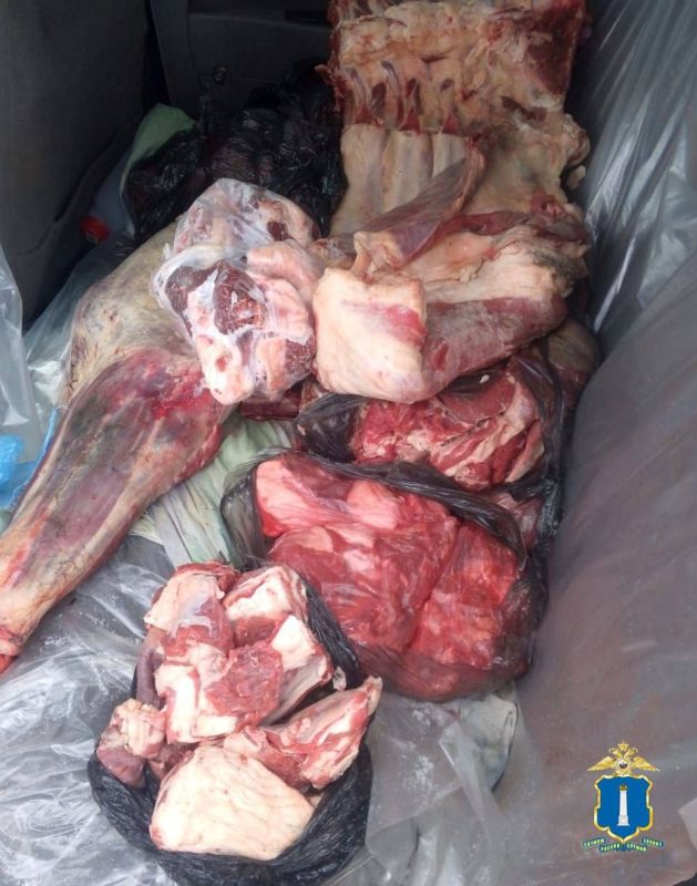 ������������ ������������� ������������ ��������� ���� �� ����� ������������ ��������� �� ��������������� ���������������