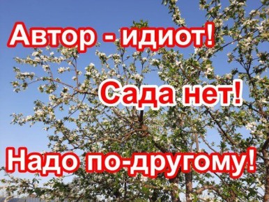 ������ ������������: ������ ��������� � ������ �� ���� �����������