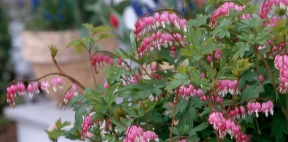 �������� ��� �������� �������: ������� � �������� �����