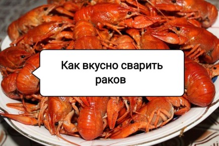 ��� ��������� ������ �����: ������� � ������ ��� �������� �����