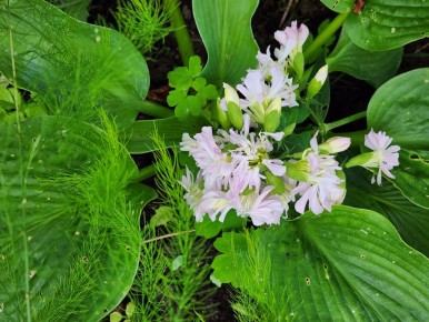 ���� �������� ��� ��������� ����, ������� �������� ����� ��������