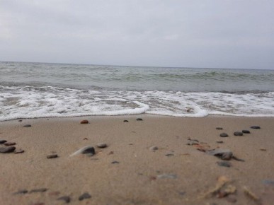 �� ������� ������� ���������� ����� �� ������� ��������