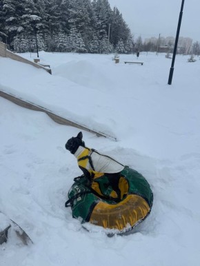 ������ ����, ������!. � �������� ����� ��������� 4 ������� � �������� �������� ����������, ���� �������� �������, ���� �������� � ���� �������� ��������� �����