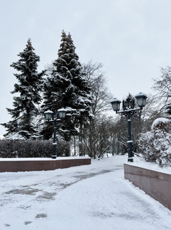 ����������� ��������������� �������������� ����������� ����� �. �. ��������