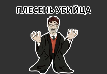 Плесень в доме: 5 причин тревожиться