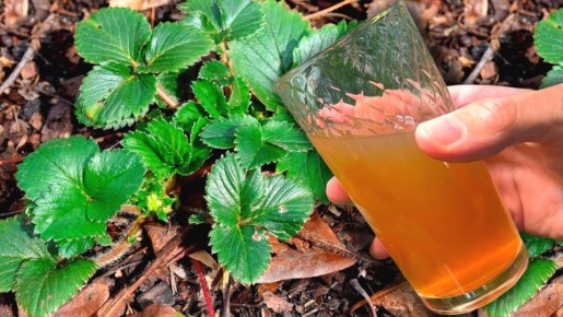 ��� �������� ������� � ������� ��������: ������� ��������� �����