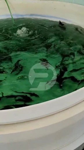 � ��� ���������� ����� ������� ������������� ��������� �� ��������� ����, ��� ������� ���������� ������������ ��������� ��������� � ��������� ��������, ������� ������� ��� ������! �������� 73 | ��� ����� � MAX