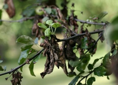 ������: ��������� ����� �� ����� � ������� �� ����������