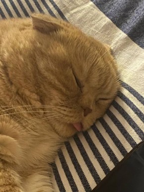 �������������� � ��������������� �������� ������ �� ���������� ����������� �������