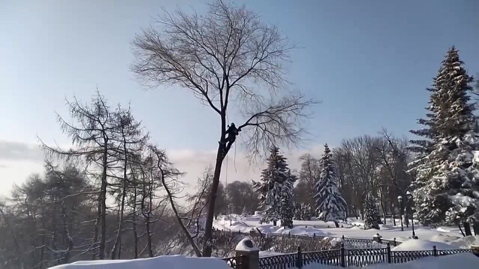 ������� ����� ������� ������� ��������� �� �������