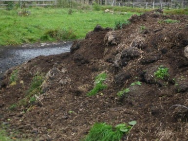 ��� ����� ���������� ���� � ��������� ������� �����������