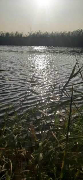 ����� � ��� �������: ��� ������ ������� ������