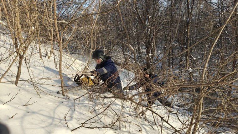 ������� ������������ ����� ������� ������� ��������� �� ������� �� ���� � �����