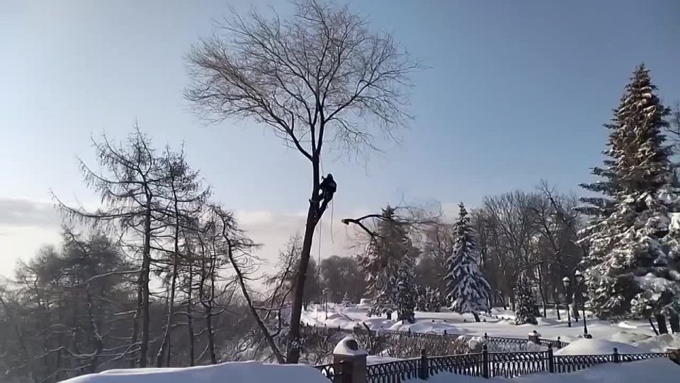 ������� ������������ ����� ������� ������� ��������� �� ������� �� ���� � �����