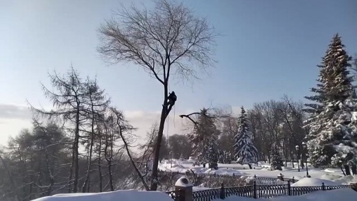 ������� ������������ ����� ������� ������� ��������� �� ������� �� ���� � �����