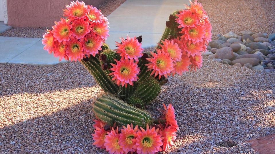 ����� �������: ����� ������������ ����� ��������