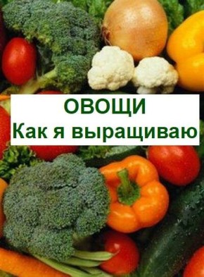 ������ ������ �� ����������� ������: ������� �������� ��������