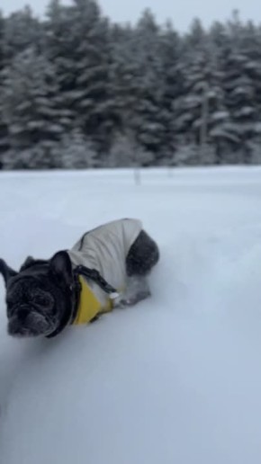 ������ ����, ������!. �� �������? �������, 5 �������, �������� ���� �������, ������� ���� � ���� �������������� ������ �� �������