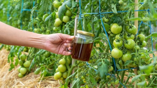 ��� �������� ���������� ������ ���������: ����������� ������ ���������