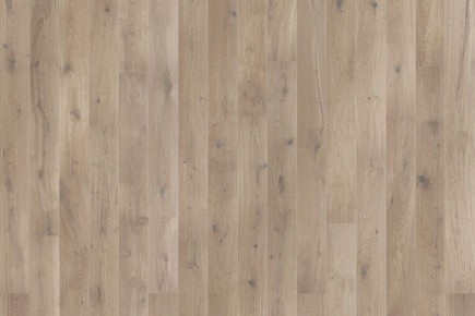 ��� �������� ������� �� ��������� �����: ������ ����