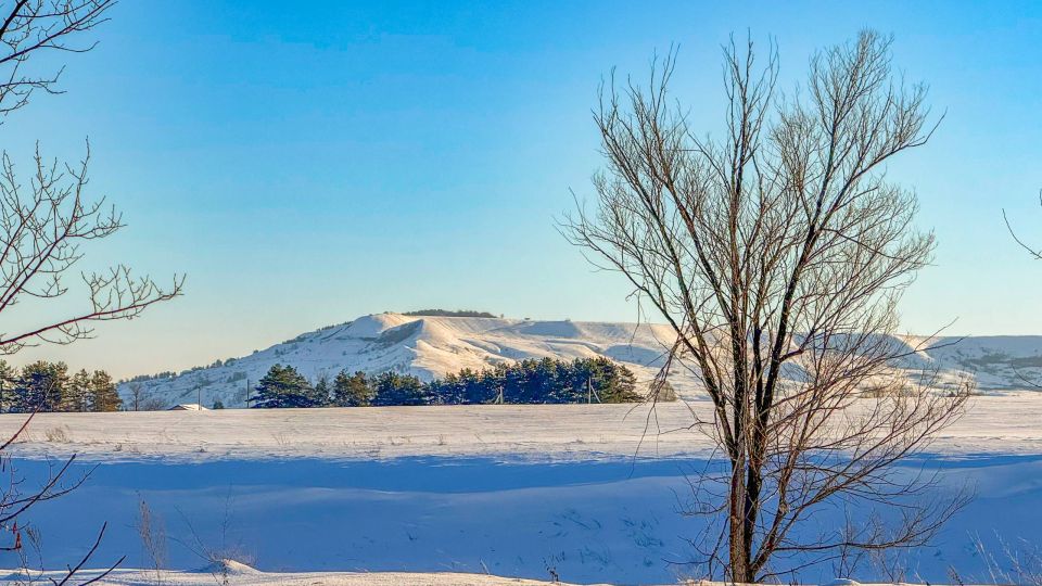 ��� �� ������