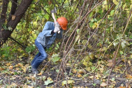 � ���������� ������ ������ � ������ ������������ �����